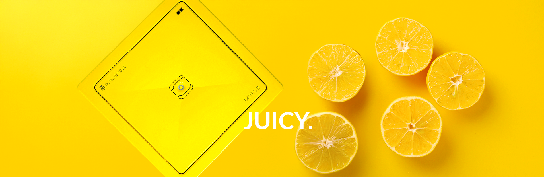 ONTEC R - oprawa awaryjna