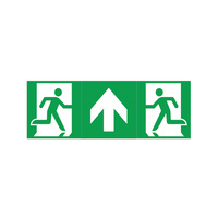 PIKTOGRAM UNIWERSALNY DO FLAGI ONTEC S20